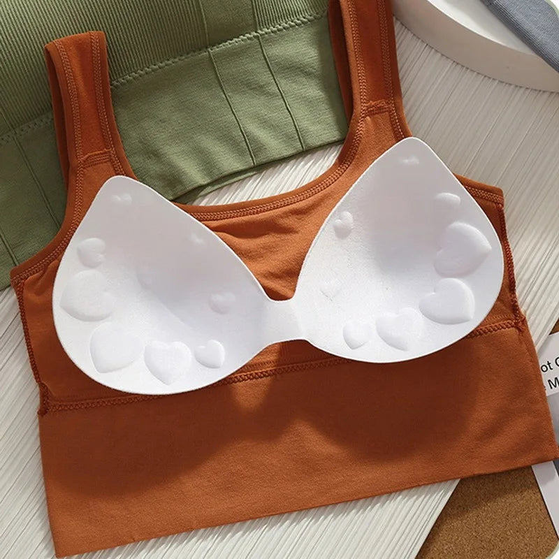 All-Day Comfort Sports Bra